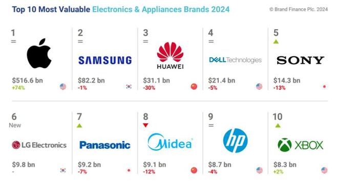 国际排位揭晓！大疆第45传音第36m6米乐2024中国电子家电品牌(图1)